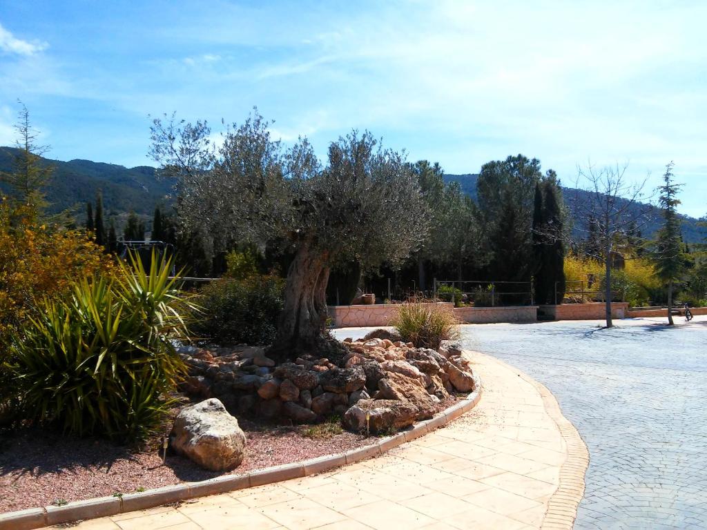 entorno-casa-rural-carche-yecla-1