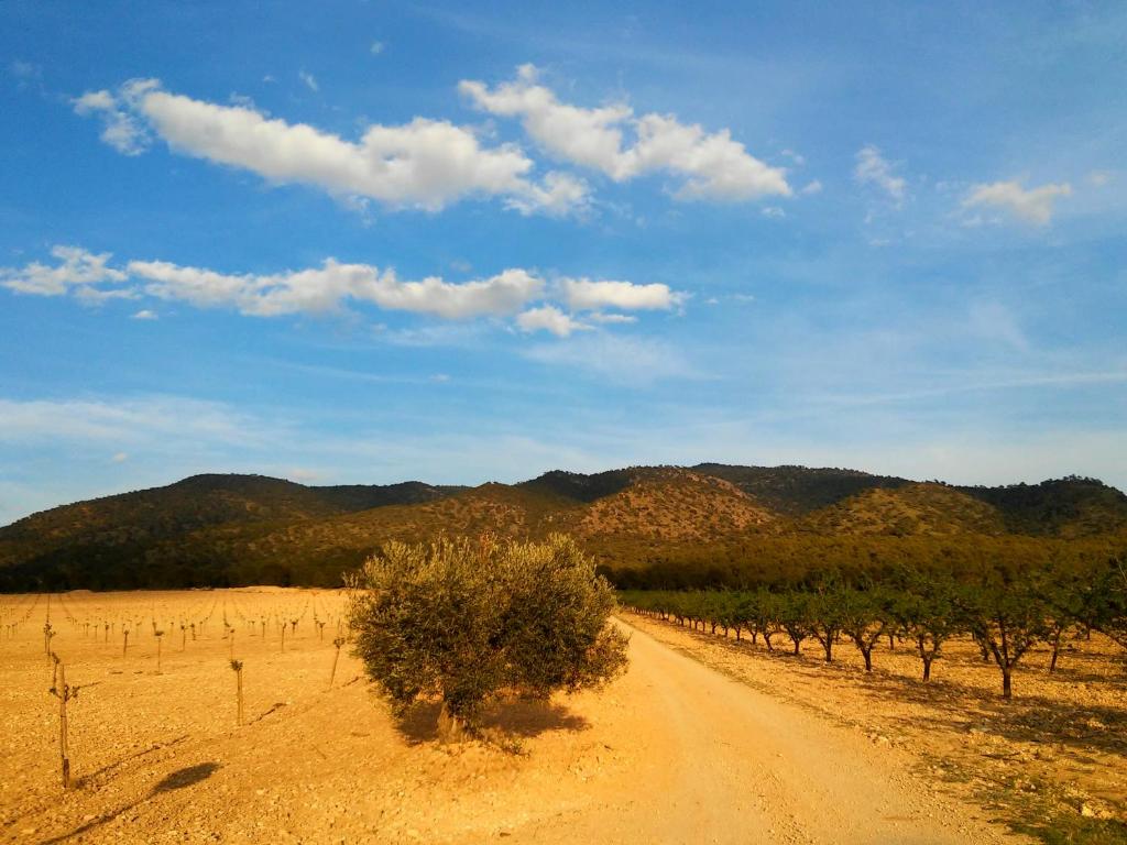 Entorno y vistas de la Casa Rural El Carmen de la Sierra Entorno y vistas de la Casa Rural El Carmen de la Sierra
