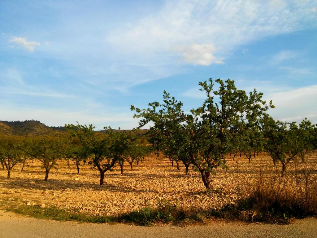 Entorno de la Casa Rural El Carmen de la Sierra Entorno de la Casa Rural El Carmen de la Sierra