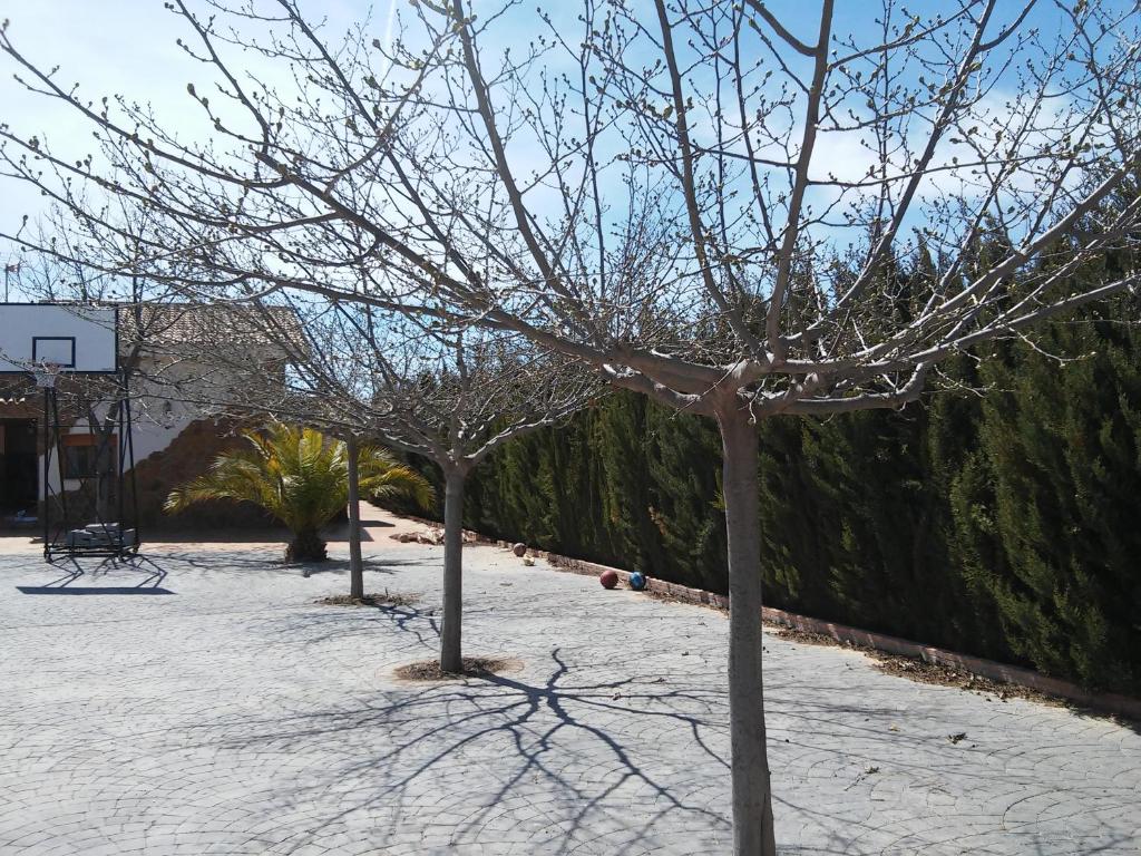 entorno-casa-rural-carche-yecla-2