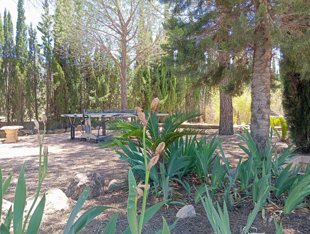 Jardines en sombra con Mesa de Ping Pong Jardines en sombra con Mesa de Ping Pong