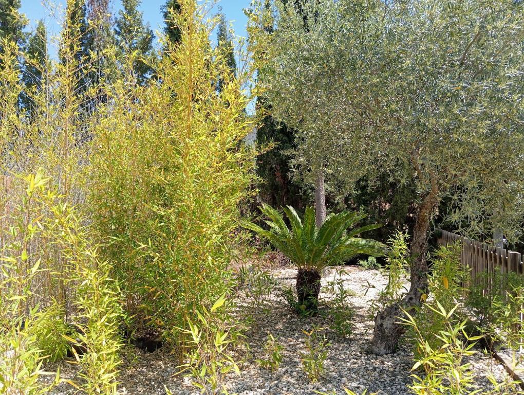 Jardines de la Casa Rural El Carmen Jardines de la Casa Rural El Carmen