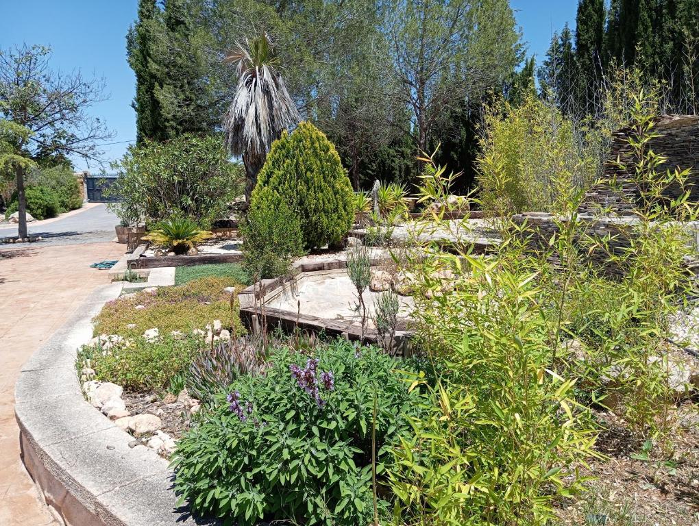 Jardines y exteriores de la Casa Rural El Carmen Jardines y exteriores de la Casa Rural El Carmen
