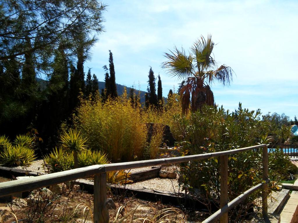 entorno-casa-rural-carche-yecla-4