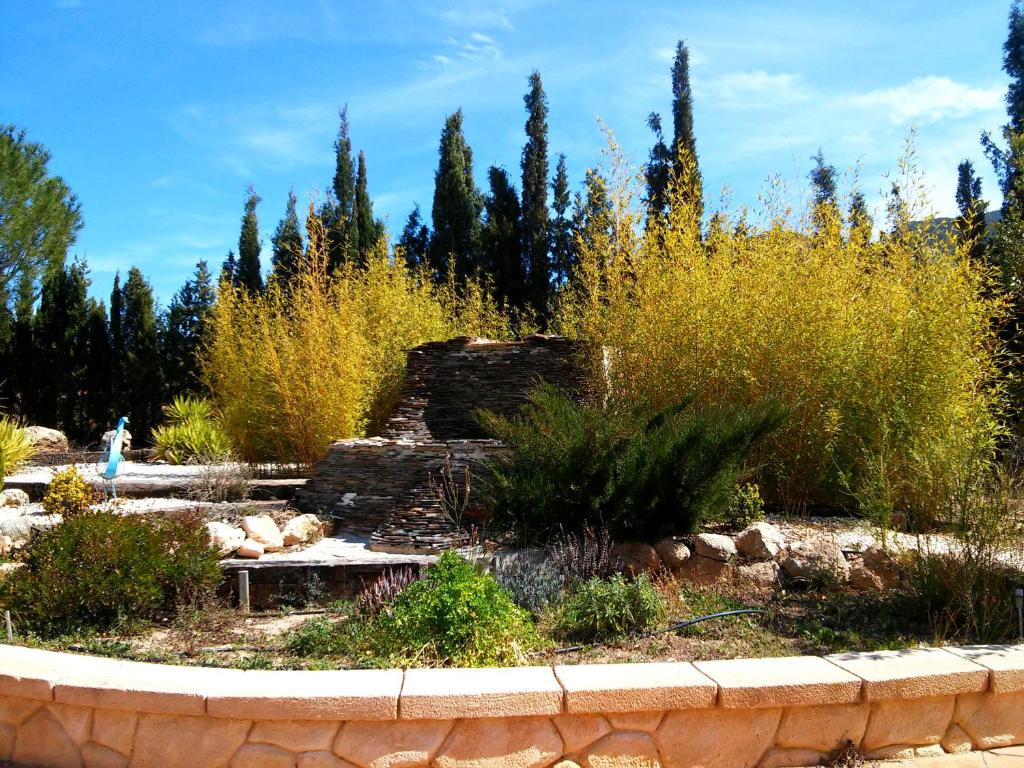 entorno-casa-rural-carche-yecla-5