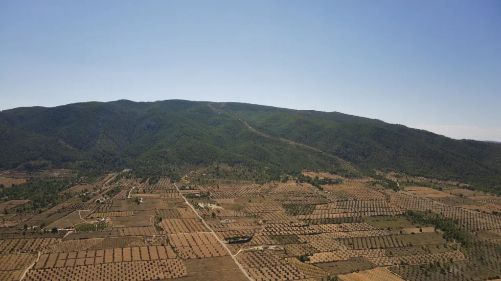Patrimonio y turismo activo en Yecla, Sierra de Salinas. Qué hacer en Yecla. Patrimonio y turismo activo en Yecla, Sierra de Salinas. Qué hacer en Yecla.
