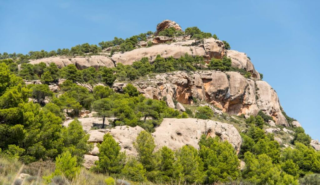 Patrimonio y turismo activo en Yecla, Monte Arabí Qué hacer en Yecla. Patrimonio y turismo activo en Yecla, Monte Arabí