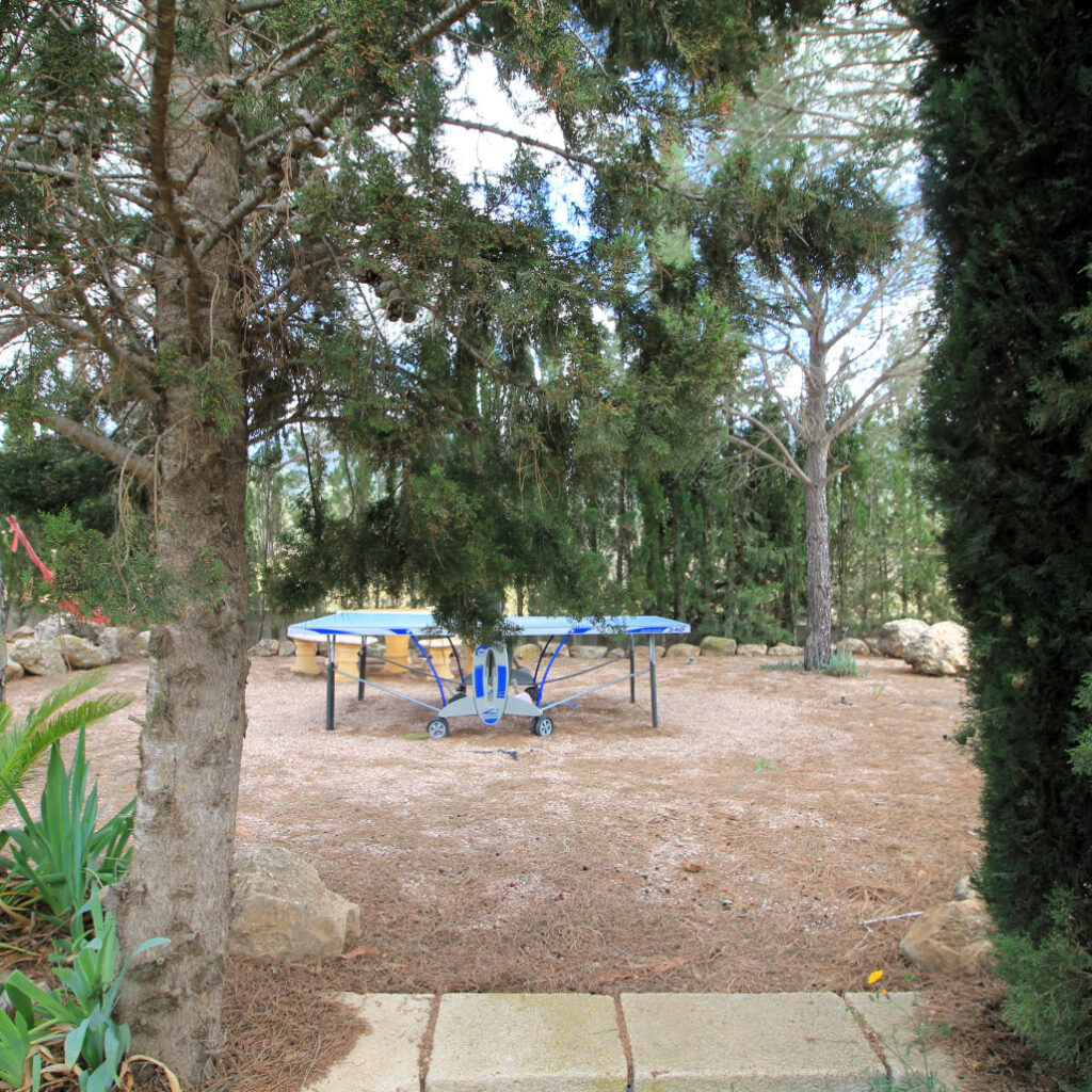 Jardín con mesa de ping pong Jardín con mesa de ping pong